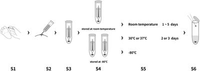 Measurement of MMP-7 in micro-volume peripheral blood: development of dried blood spot approach